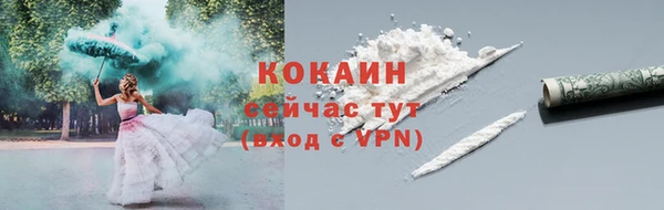 мдпв Лабытнанги