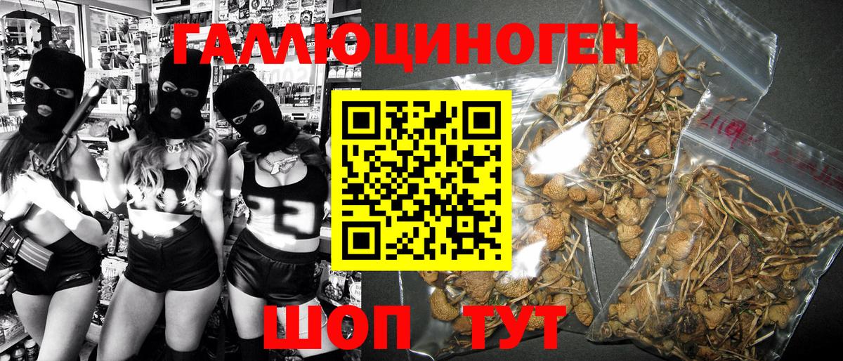 Псилоцибиновые грибы Magic Shrooms  Псилоцибиновые грибы мицелий  Лыткарино 