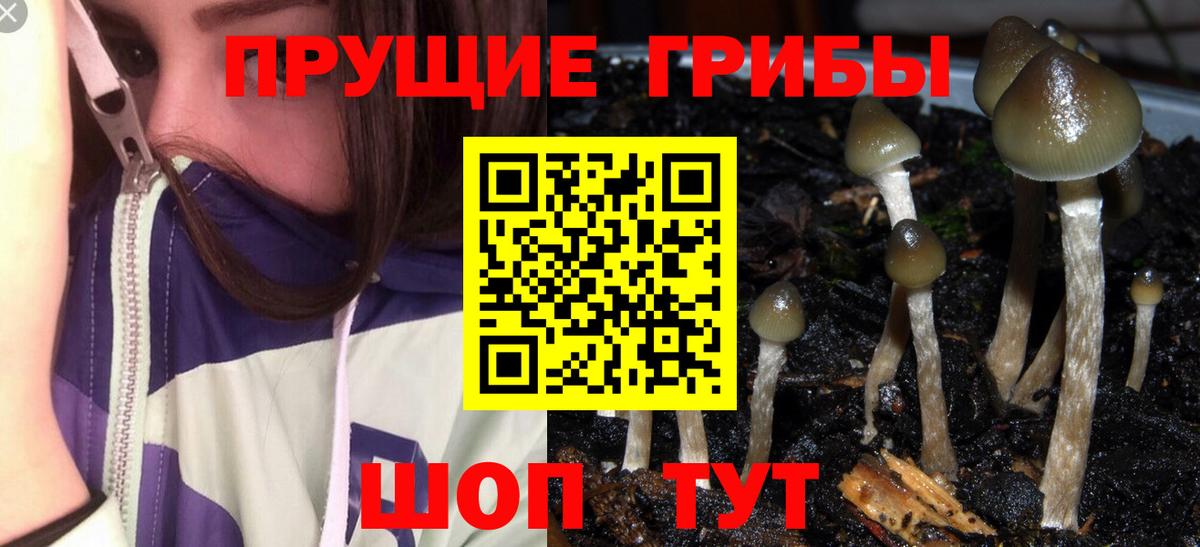 Псилоцибиновые грибы мухоморы  Вход с VPN  Лыткарино 