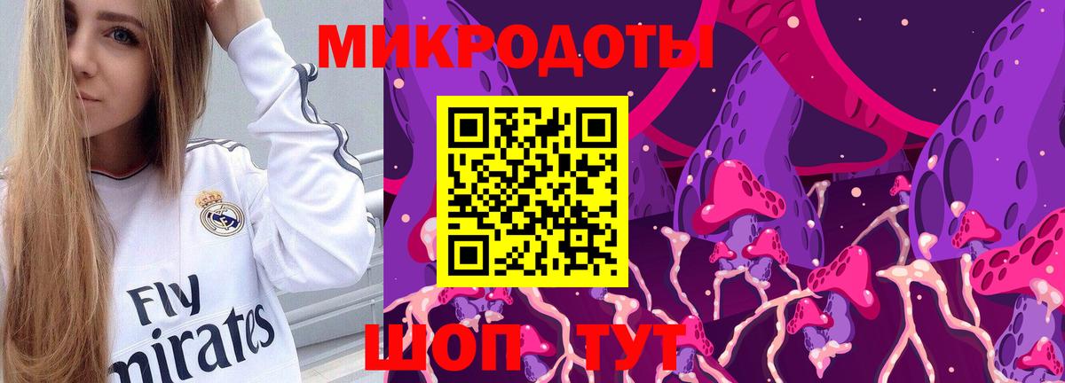 ГАШ Лыткарино