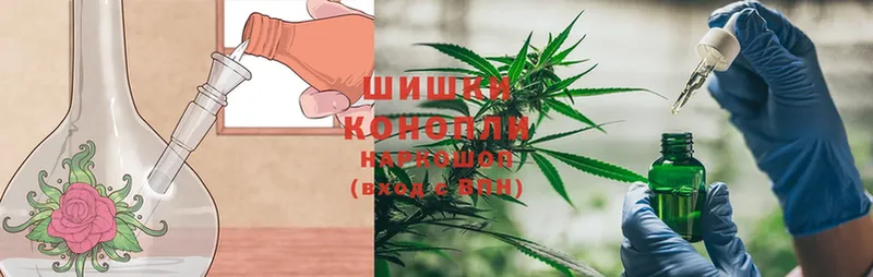 наркошоп  Лыткарино  hydra как зайти  МАРИХУАНА SATIVA & INDICA 